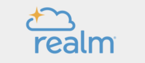Realm software logo